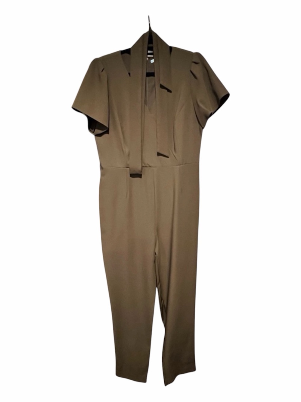 Elegant Jumpsuit